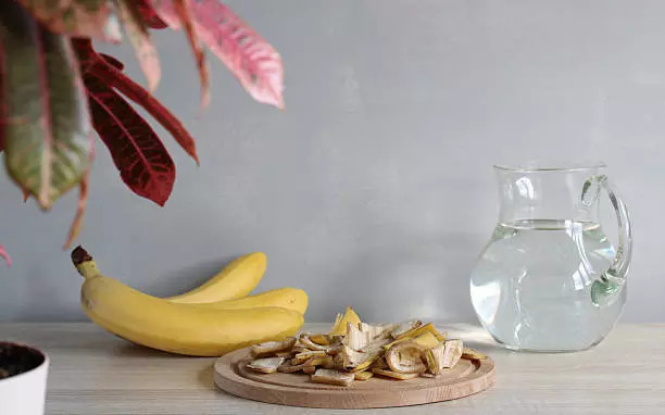 istockphoto-2211711863-612x612