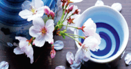 7 edible flowers