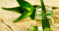 How to make aloe vera gel at home